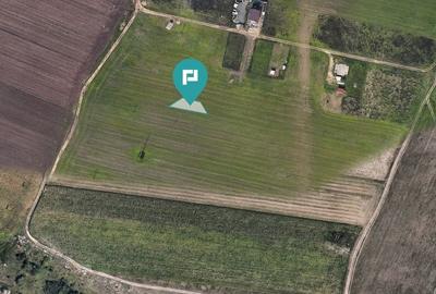 Teren, 679 mp, Chișoda - 2