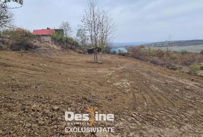 Teren de 900 mp, în Ciurea - 3