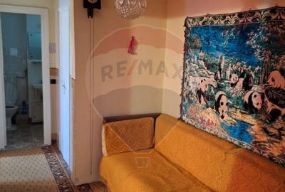 Apartament cu 3 camere decomandat, mobilat în Bălcescu - 10