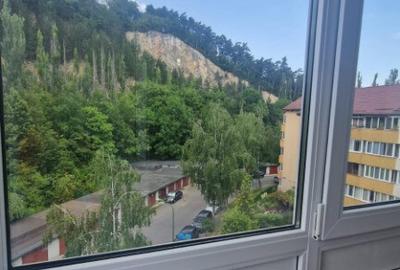 Proprietar vand apartament 2 camere Racadau - 9