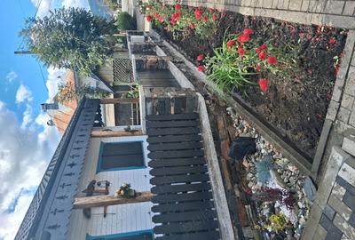 Casă cu Teren 1000 Mp în Central - 8