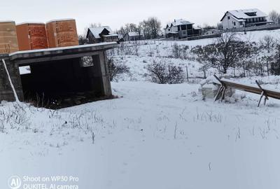 Teren de 1000 mp, în Cacica - 5