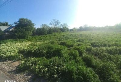 Teren de 1500 mp, în Spanțov - 4