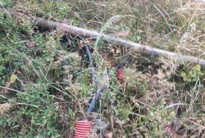 Teren de 17345 mp, în Fundata - 1