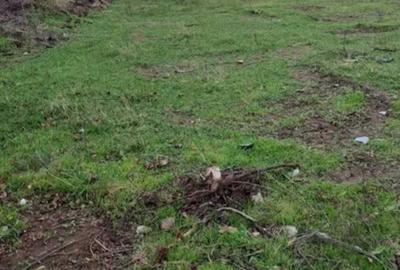 Spațiu comercial, în Ștefăneștii de Sus - 1