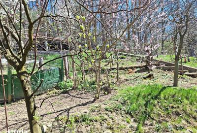 Casă cu 5 camere cu Teren 470 Mp în Central - 13