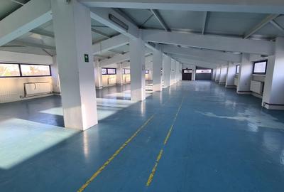 Hală modernă multifuncțională – 1.300 mp –Bucium, Iași- DE ÎNCHIRIAT - 7