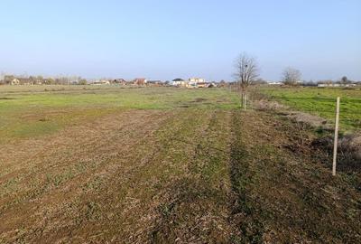 Teren de 600 mp, în Siliștea Snagovului