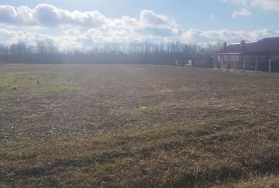 Spațiu comercial, în Poiana Lacului - 6