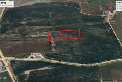 Teren de 12500 mp, în Turnișor