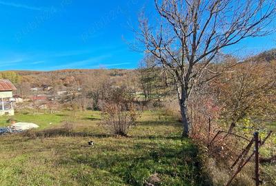 Vand casa de vacanta in Comuna Cotmeana, Sat Ursoaia, jud Arges - 2