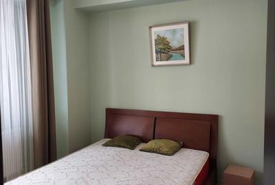 Apartament cu 2 camere semidecomandat în Tudor Vladimirescu - 5