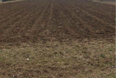 Teren comuna Berceni - 2