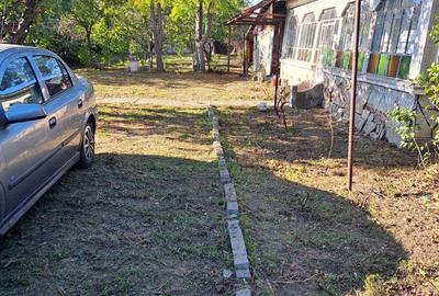 Teren de 800 mp, în Dărăști-Vlașca - 5