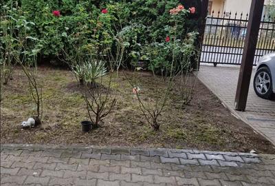 Casă cu 3 camere cu Teren 800 Mp în Sâncraiu de Mureș - 4