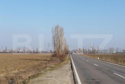 Teren 6,06 Ha, deschidere 145 ml, la DN1A. Barcanesti. - 2