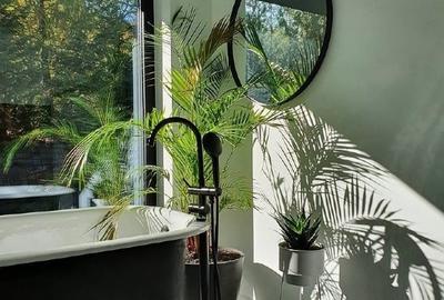 Casă individuală cu 3 camere cu Teren 1156 Mp în Izvoarele - 4