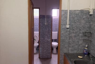 Spațiu comercial, de 500 mp, în Theodor Pallady - 7