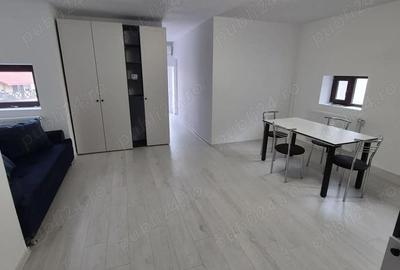 Apartament cu 2 camere semidecomandat în Ultracentral - 11