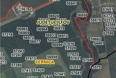 Teren extravilan 18000 mp in Tanganu Teren extravilan 18000 mp in Tanganu - 2