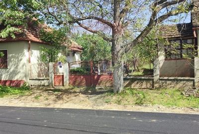 Casa solida cu teren 1081 mp Siria soseaua principala spre Cetate - 6