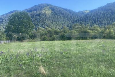 Teren de vanzare in Sadova, 900 mp - 1