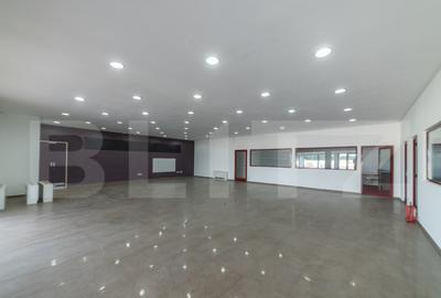 2 Hale+Birouri de inchiriat, acces tir, zona Scheia