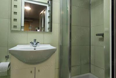 Sacele - Turche?, casa + anexe + teren. - 14