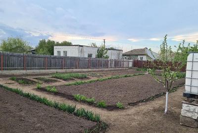 Casă cu 4 camere cu Teren 1049 Mp în Corbu (Glodeanu-Siliștea) - 2