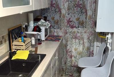 Apartament cu 2 camere semidecomandat în Craiovița Nouă - 3