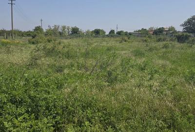 Teren de 870 mp, în Central
