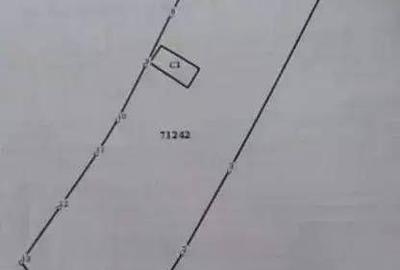 Teren de 1688 mp, în Vișinești - 6