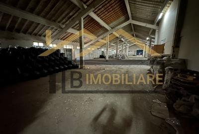 Spatiu industrial de inchiriat/vanzare/ 2052mp/ Zona Ernei - 7