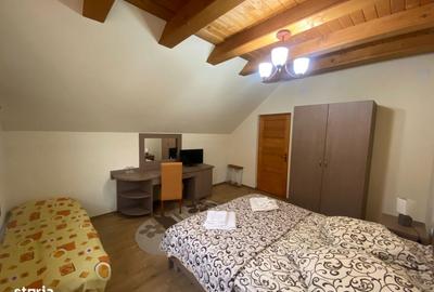 Casă cu Teren 5000 Mp în Central - 2