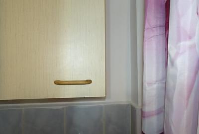 Apartament cu 2 camere nedecomandat în Dacia - 10