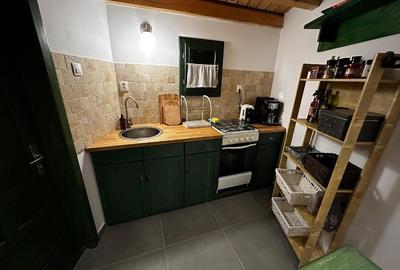 Vilă tip chalet pe malul Pârâului  Bistra - complet utilată, vedere liberă - 3