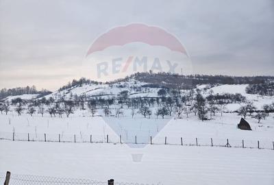 Teren agricol extravilan de 4301 mp, în Bârsana - 2