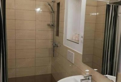 Apartament cu doua camere in zona Piata Maria de inchiriat - 4