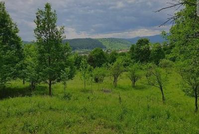 TEREN DE VANZARE PENTRU INVESTITII IN MANASTIREA CASIN