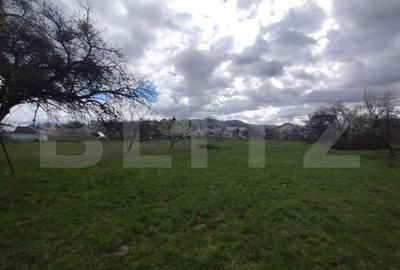 Casa 80mp, teren 7500mp , intravilan, zona Valea Bargaului - 6