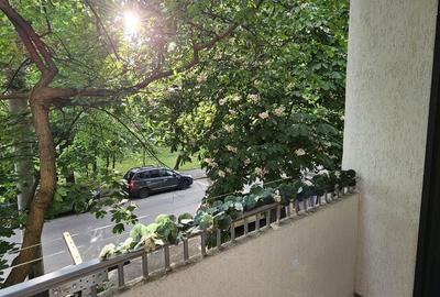 Garsonieră nedecomandată în Sud - 2