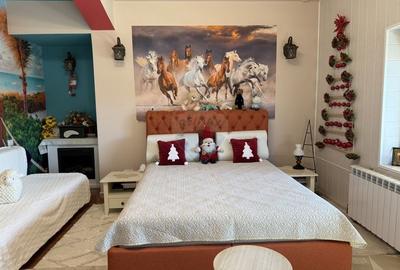 Casa /Vila cu 6 camere de vanzare in Cumpana Constanta - 11