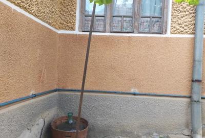 Casa de vanzare in Ludus - 4