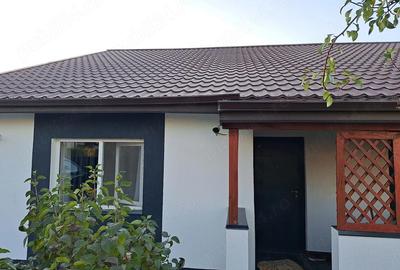Casă cu 3 camere cu Teren 700 Mp în Valea Ursului - 4