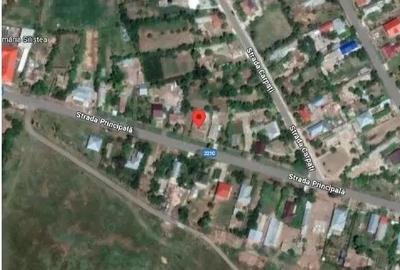 Casa si teren cota parte 1/6, Silistea, ID: R2581900 - 9