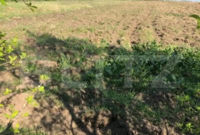 Casă cu 4 camere cu Teren 4000 Mp în Central