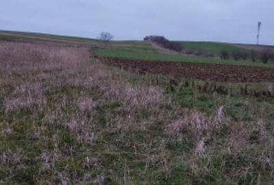 Teren de 4760 mp, în Ghercești - 3