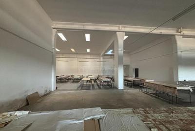 Complex industrial 30130 mp construit - Teren 42558 mp - 8