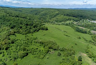 Teren agricol extravilan de 500 mp, în Bradu - 4