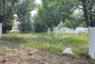 Cascioarele, Ulmi jud. Giurgiu, teren 1.200 mp + casuta de gradina si anexe - 11